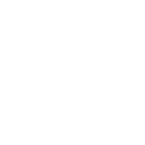 UmbrellaIcon